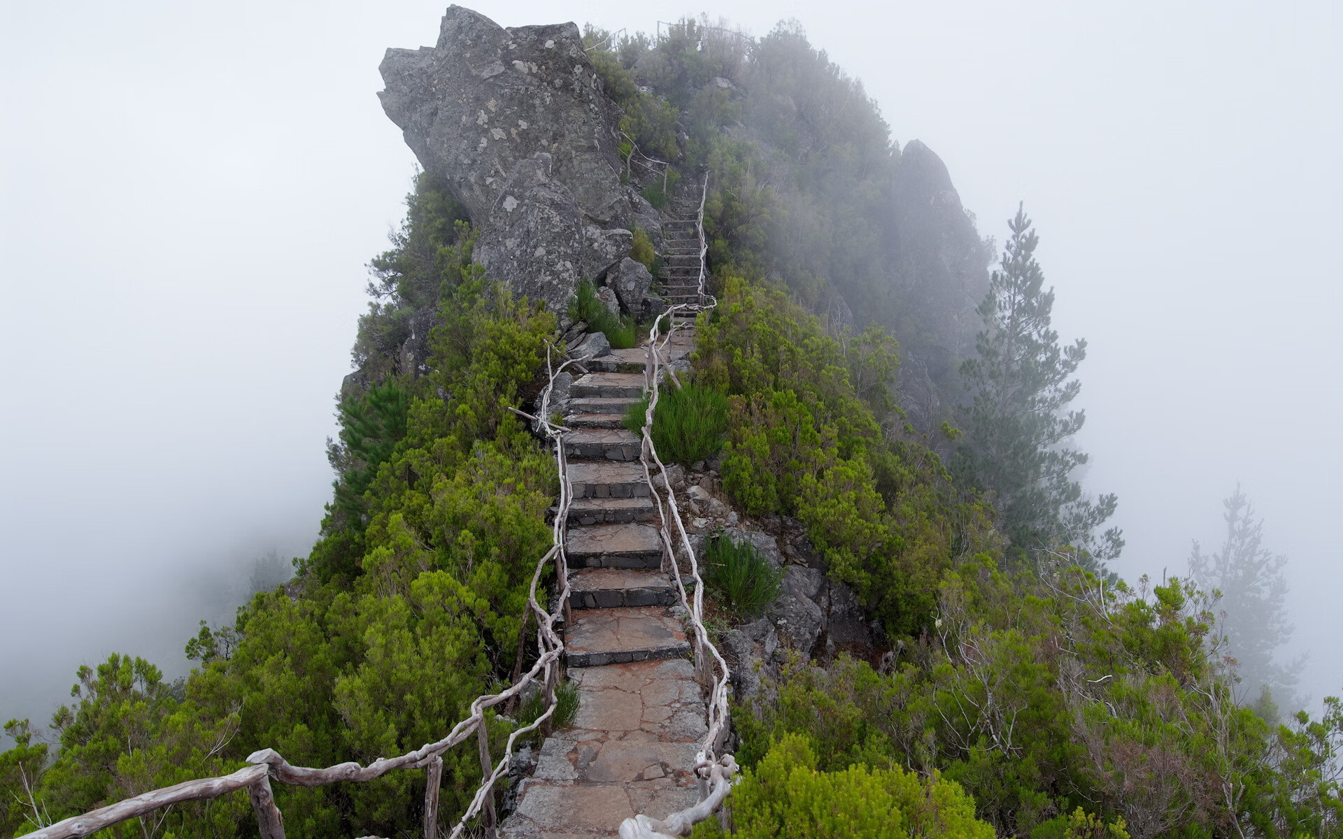 世界举重青年联赛优秀运动员入选国际交流名单，世界举重队